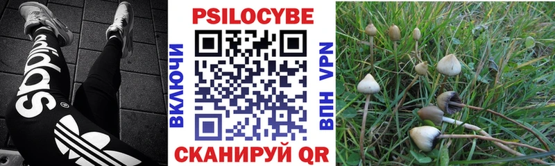 Галлюциногенные грибы Psilocybine cubensis  Новый Уренгой 